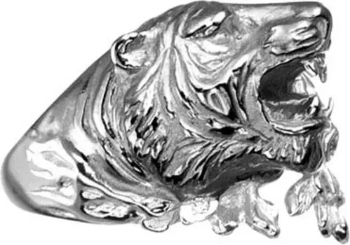 Кольца Альдзена K-26040