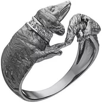 Кольца Альдзена K-76012