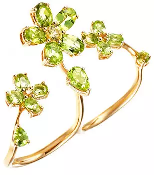 Кольца JV R0002189A05-YS-PD-YG