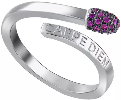 Кольца Silver Wings 21CARPEDIEMG-127