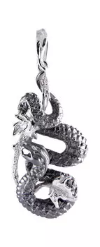 Кулоны, подвески, медальоны Альдзена P-25028