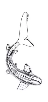 Кулоны, подвески, медальоны Dewi 901031700-dv