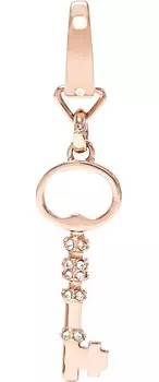 Кулоны, подвески, медальоны Fossil JF00761791