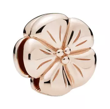 Кулоны, подвески, медальоны PANDORA 787897