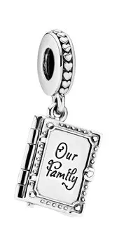 Браслеты PANDORA 798105