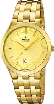 Мужские часы Candino C4541_2