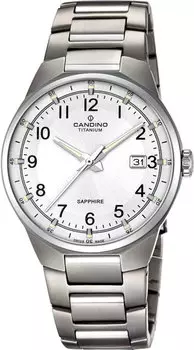 Мужские часы Candino C4605_1