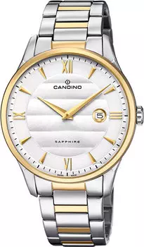 Мужские часы Candino C4639_1