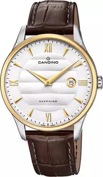 Мужские часы Candino C4640_1