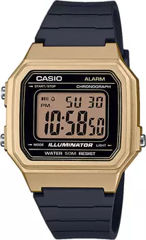 Мужские часы Casio W-217HM-9AVEF