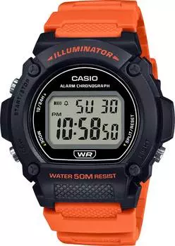 Мужские часы Casio W-219H-4AVEF