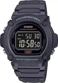 Мужские часы Casio W-219H-8BVEF