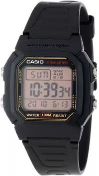 Мужские часы Casio W-800HG-9A