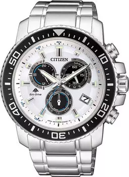 Мужские часы Citizen AS4080-51A