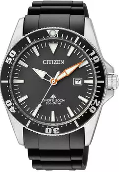 Мужские часы Citizen BN0100-42E