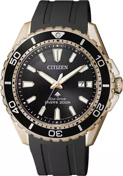 Мужские часы Citizen BN0193-17E