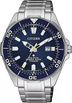 Мужские часы Citizen BN0201-88L