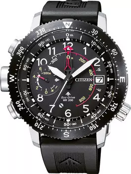 Мужские часы Citizen BN4044-15E