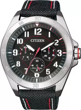 Мужские часы Citizen BU2030-17E