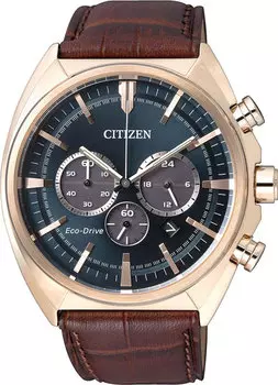 Мужские часы Citizen CA4283-04L