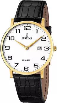 Мужские часы Festina F16478/1