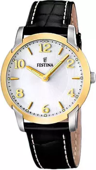 Мужские часы Festina F16508/2-ucenka