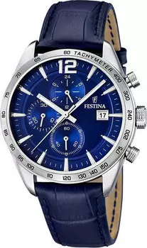 Мужские часы Festina F16760/3