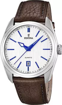 Мужские часы Festina F16777/2