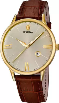 Мужские часы Festina F16825/2