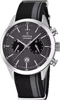 Мужские часы Festina F16827/1