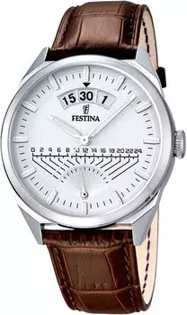 Мужские часы Festina F16873/1