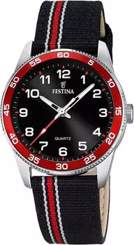 Мужские часы Festina F16906/3