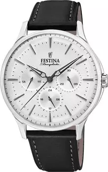 Мужские часы Festina F16991/2