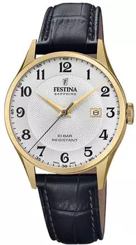 Мужские часы Festina F20010/1