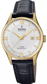 Мужские часы Festina F20010/2