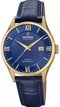 Мужские часы Festina F20010/3