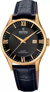 Мужские часы Festina F20010/4