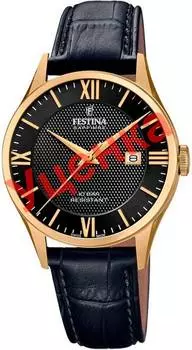 Мужские часы Festina F20010/4-ucenka