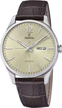 Мужские часы Festina F20205/1