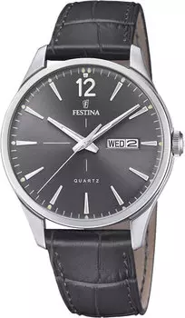 Мужские часы Festina F20205/2