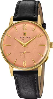 Мужские часы Festina F20249/3