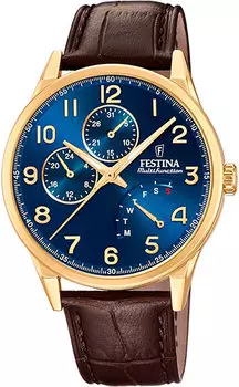 Мужские часы Festina F20279/B