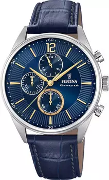 Мужские часы Festina F20286/3