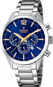 Мужские часы Festina F20343/2