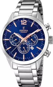 Мужские часы Festina F20343/9