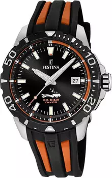Мужские часы Festina F20462/3