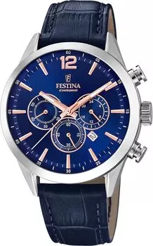 Мужские часы Festina F20542/4