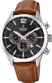 Мужские часы Festina F20542/6
