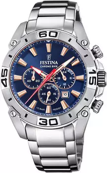 Мужские часы Festina F20543/4