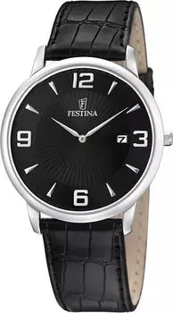 Мужские часы Festina F6806/2